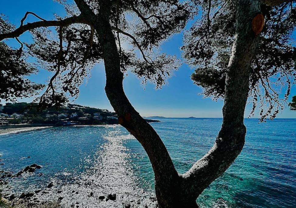 Escapade Au Coeur De Sanary Daire Dış mekan fotoğraf