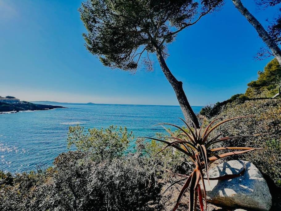 Escapade Au Coeur De Sanary Daire Dış mekan fotoğraf